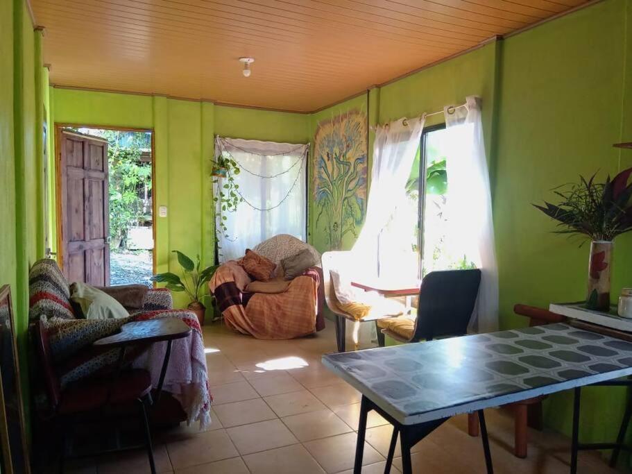 Casa Flor De Annia ~ Cozy 2 Bdrm On The River Sierpe ~ Walkable To Town Villa Bagian luar foto
