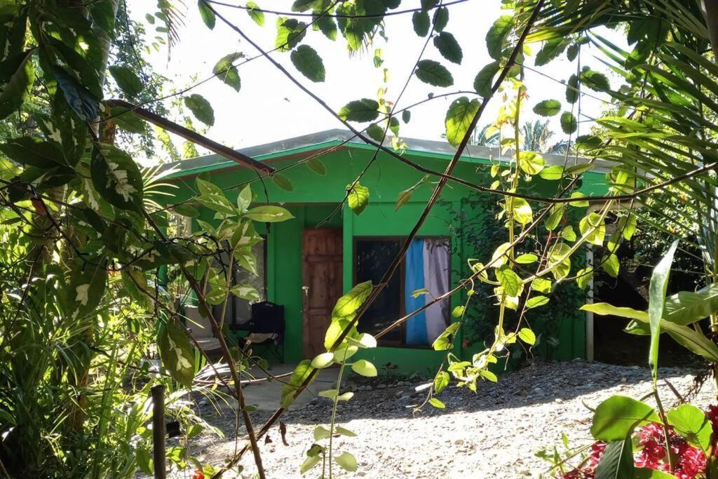 Casa Flor De Annia ~ Cozy 2 Bdrm On The River Sierpe ~ Walkable To Town Villa Bagian luar foto