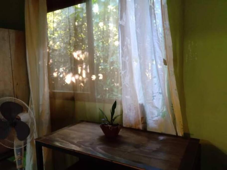 Casa Flor De Annia ~ Cozy 2 Bdrm On The River Sierpe ~ Walkable To Town Villa Bagian luar foto